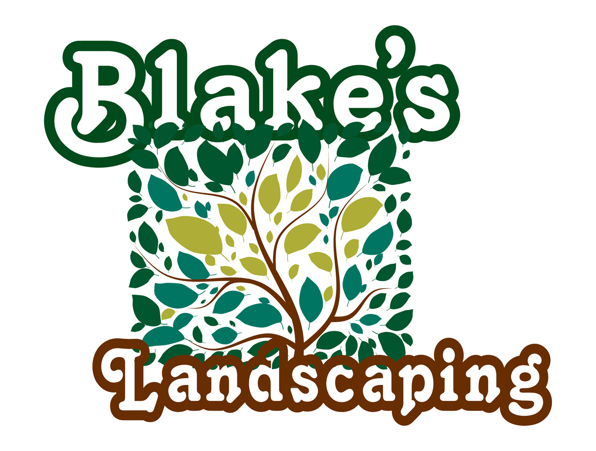  landscape logo 